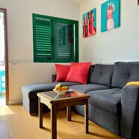 El Islote Direct At Paradise *