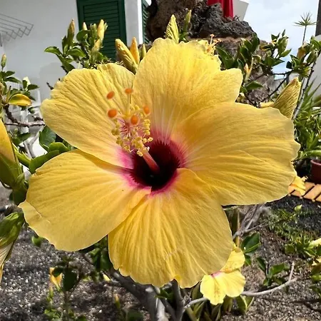 El Islote Direct At Paradise דירה