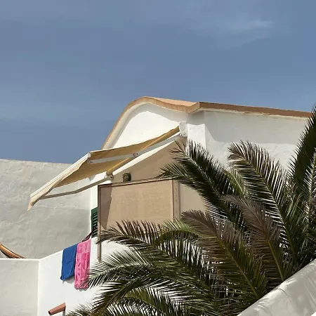 El Islote Direct At Paradise *