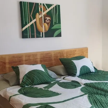 El Islote Direct At Paradise *