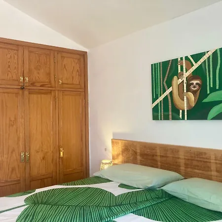 El Islote Direct At Paradise