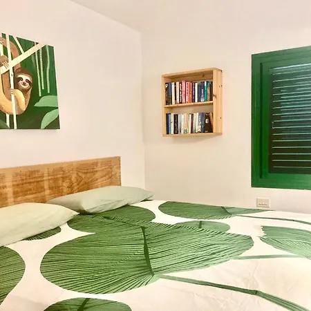 El Islote Direct At Paradise