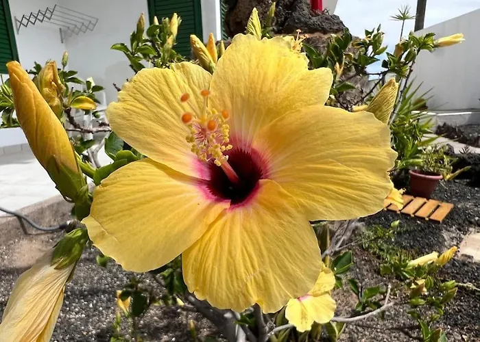 El Islote Direct At Paradise Daire