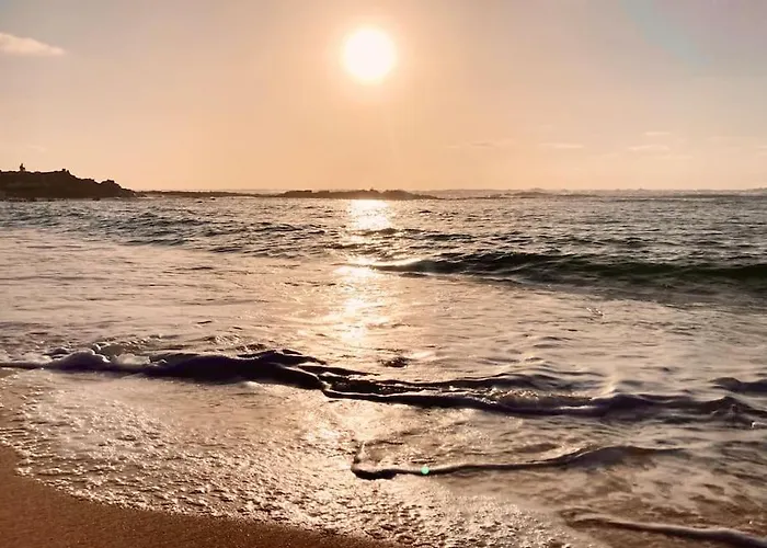 El Islote Direct At Paradise *