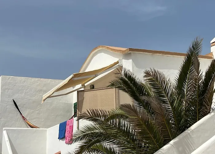 El Islote Direct At Paradise *