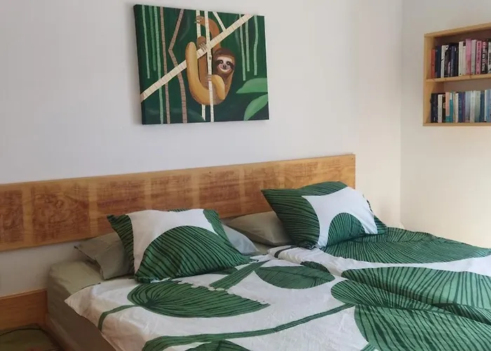 El Islote Direct At Paradise *