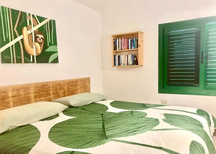 El Islote Direct At Paradise